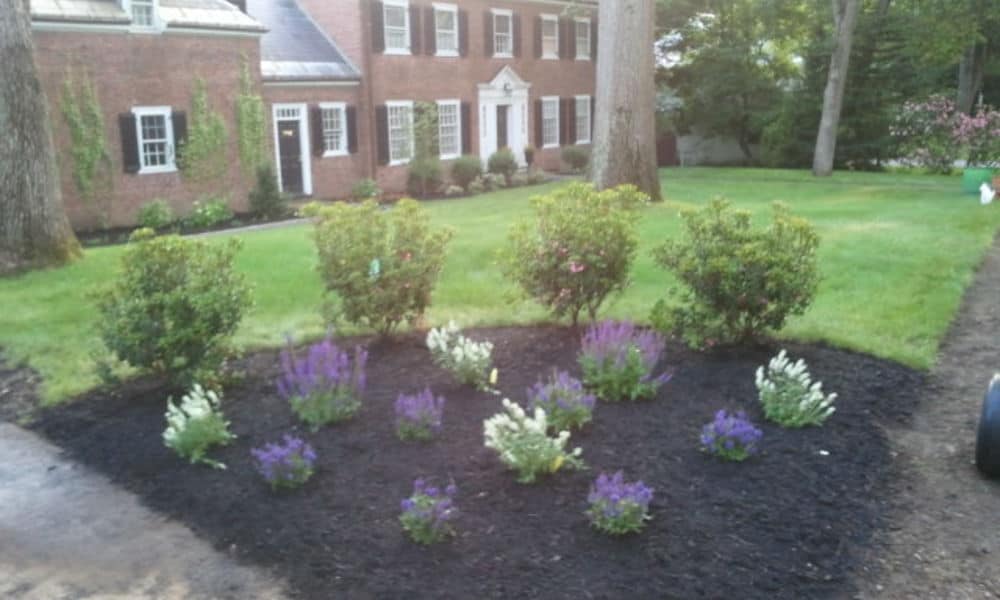 Residential Landscaping in [acf field="city"] [acf field="state"]