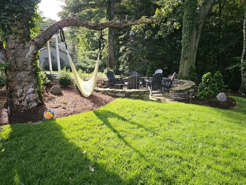 03d 156 Ivy Ostiguy Landscape