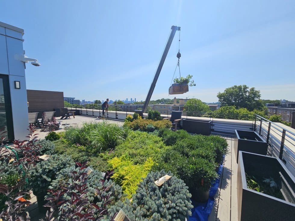 08a 105 Washington roof deck Ostiguy Landscape